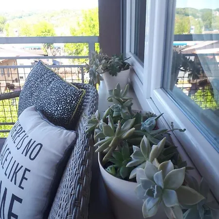 公寓 Diva 图兹拉